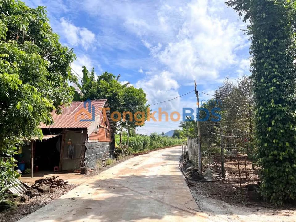 Đất Nền Trảng Bom 100m² Sổ Riêng - Giá Tốt 600 Triệu