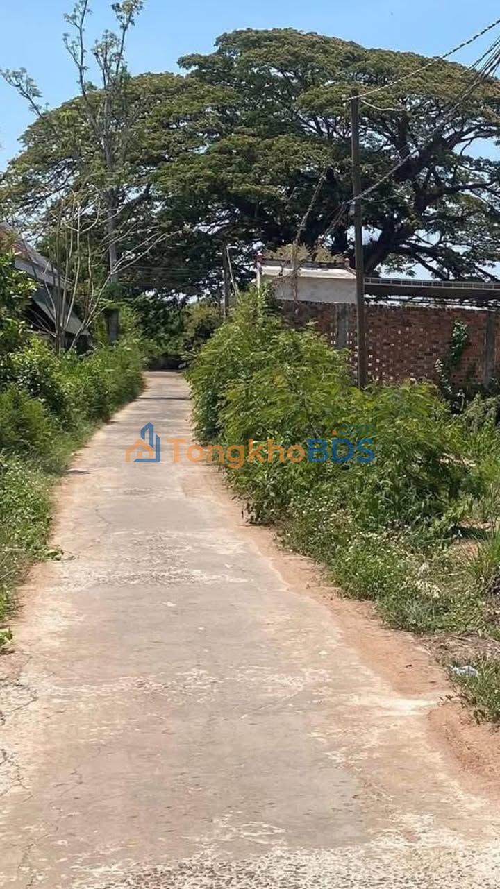 Đất Thổ Cư Xuân Lộc 200m² - Sổ Hồng Sẵn Sàng - Giá Tốt 950 Triệu