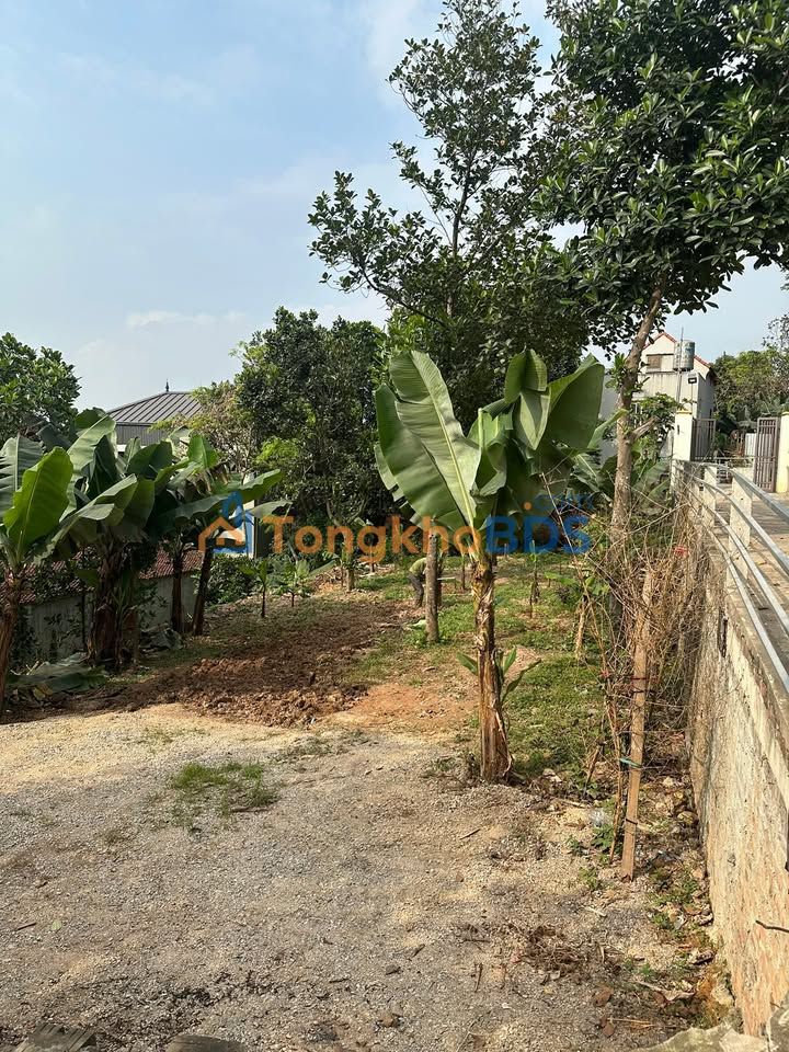 Đất thổ cư 289m² Đồng Lư, Thanh Oai - Sổ đỏ sẵn sàng giao dịch