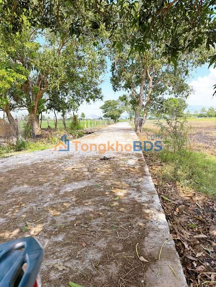 Đất Vườn Sổ Hồng 945m² Tân Lập, Ninh Sơn - Giá Đầu Tư Chỉ 5xx Triệu