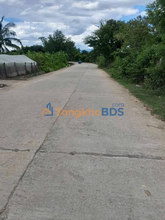 Bán Đất Trang Trại 19.907m² Ninh Thuận - Sẵn Sàng Làm Nông Nghiệp