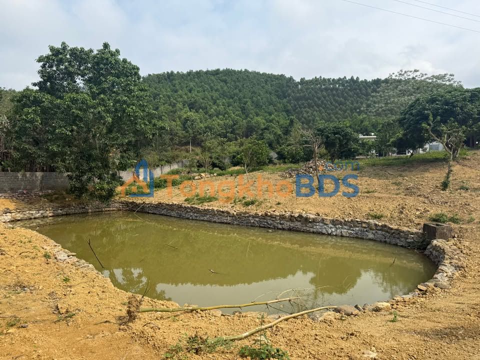 Farm Nghỉ Dưỡng 6000m² Sát Suối, View Đồng - Chương Mỹ, Hà Nội