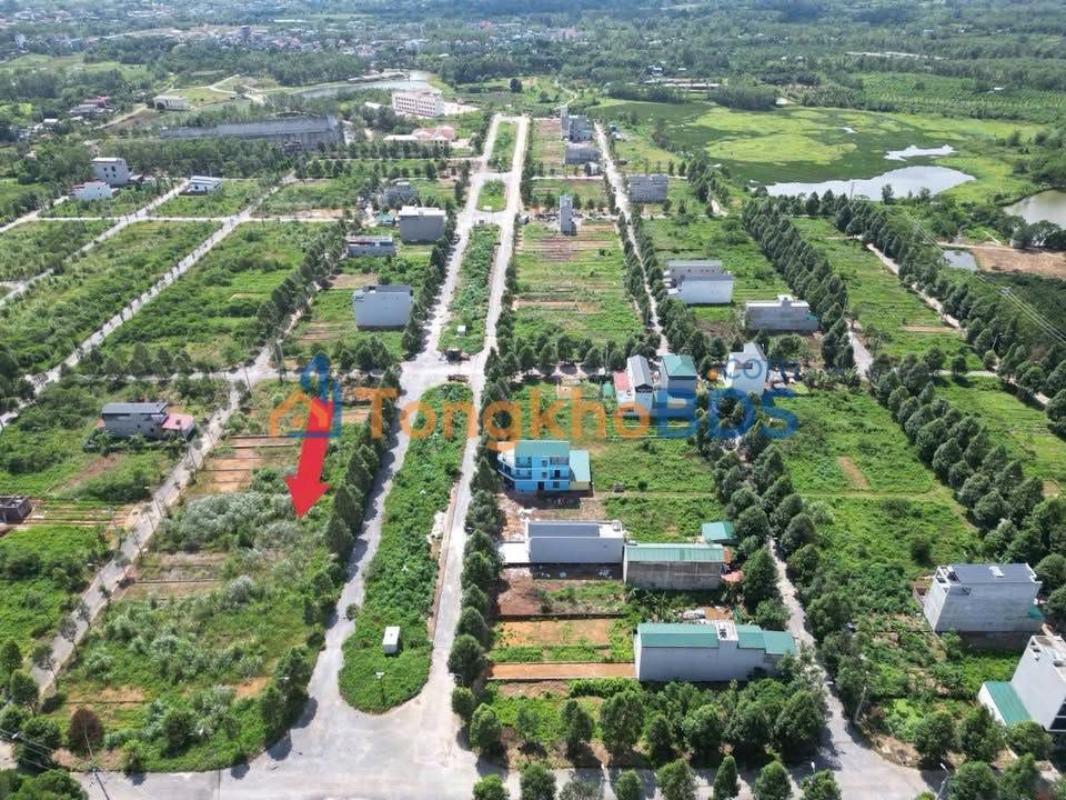 Bán Gấp Đất 80m² Tái Định Cư ĐHQG Hà Nội - Sổ Đỏ Sẵn Sàng