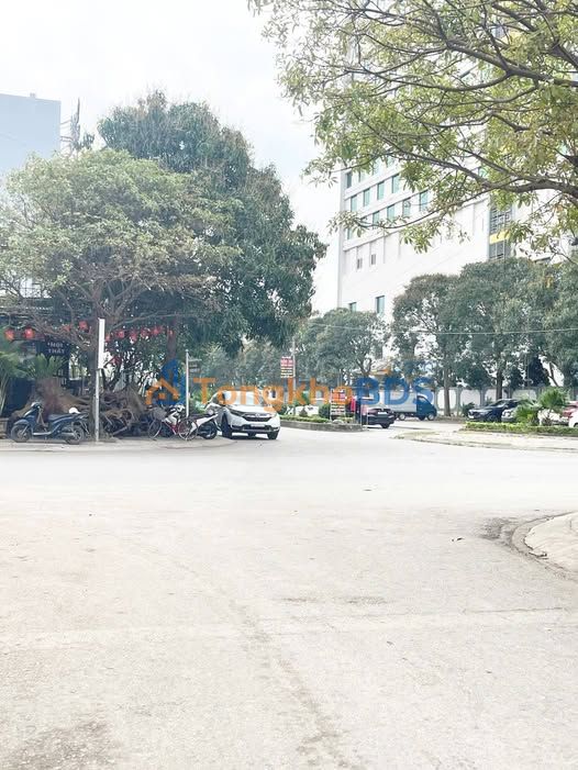 Đất nền Phường Đông Hải 120m² giá 5 tỷ - Đường to ô tô