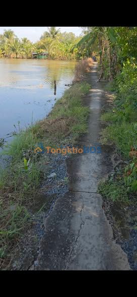 Đất Ruộng Hậu Giang 20.000m² - Mặt Tiền Lương Thế Vinh, Long Mỹ