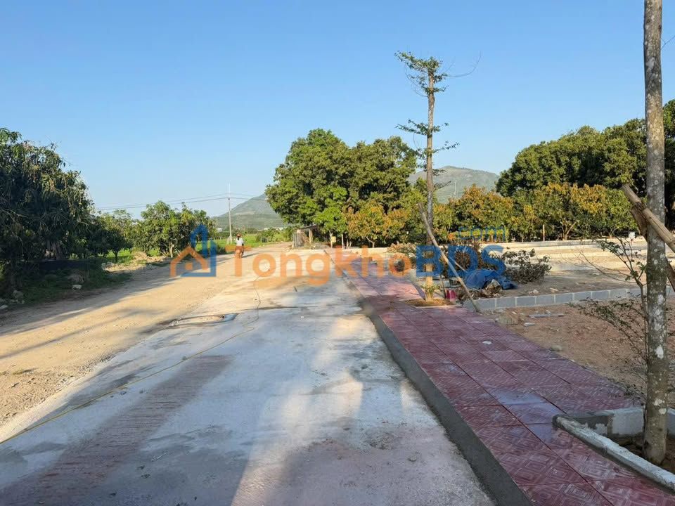 Đất Nền Cam Lâm 216m² Full Thổ Cư - Vay Ngân Hàng 0% Lãi