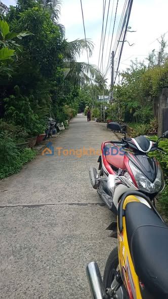 Đất Vườn 587m² Kèm Nhà Cấp 4 - Mặt Sông Phong Thủy, Giá 2.5 Tỷ Tại Cao Lãnh