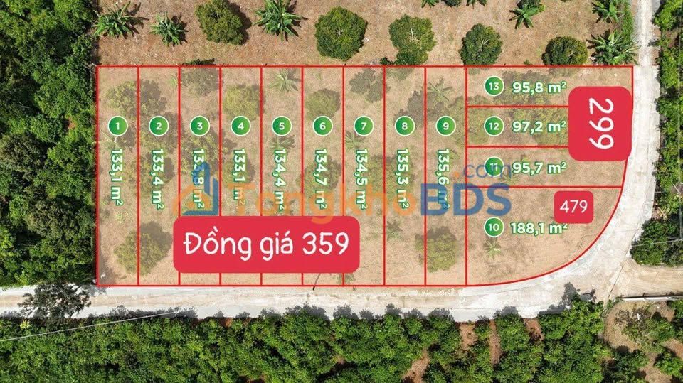 Đất nền Hòa Ninh Di Linh 100m2 299-479 triệu - Sổ đỏ chính chủ