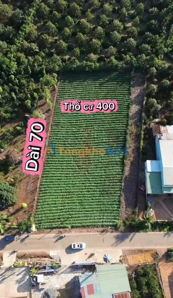 Bán Đất 7200m² Cẩm Lệ, Đà Nẵng - Đường Xe Công, Sẵn Sàng Kinh Doanh