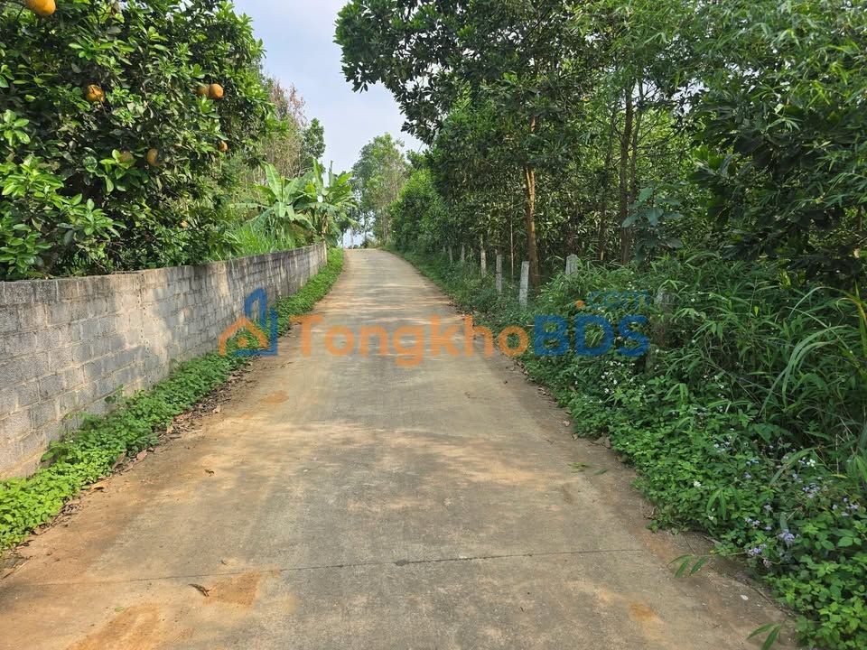 Đất Yên Sơn Phú Thọ 1400m² giá 2 tỷ - Sổ đỏ chính chủ