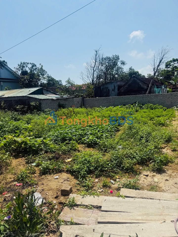 Đất Nền Nghi Lộc 220m² - Sổ Đỏ Chính Chủ, Giá Đầu Tư 1.85 Tỷ