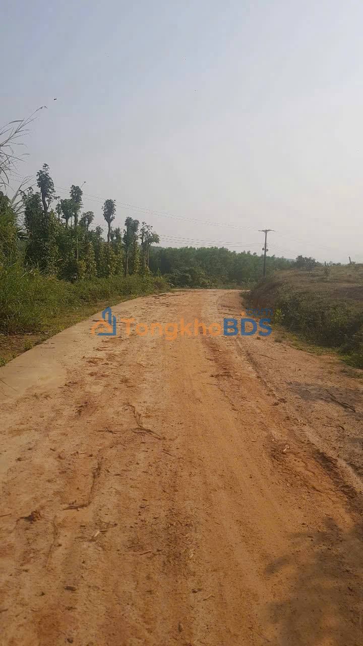 Bán Gấp 1.6ha Đất Mặt Đường, Đông Hòa, Phú Yên - Giá Đầu Tư 1.2 Tỷ