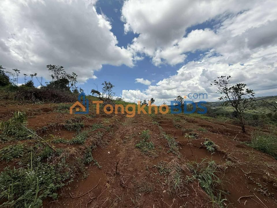 Đất nền Quảng Tín Đắk R'Lấp 5ha 1,31 tỷ - Đường to ô tô