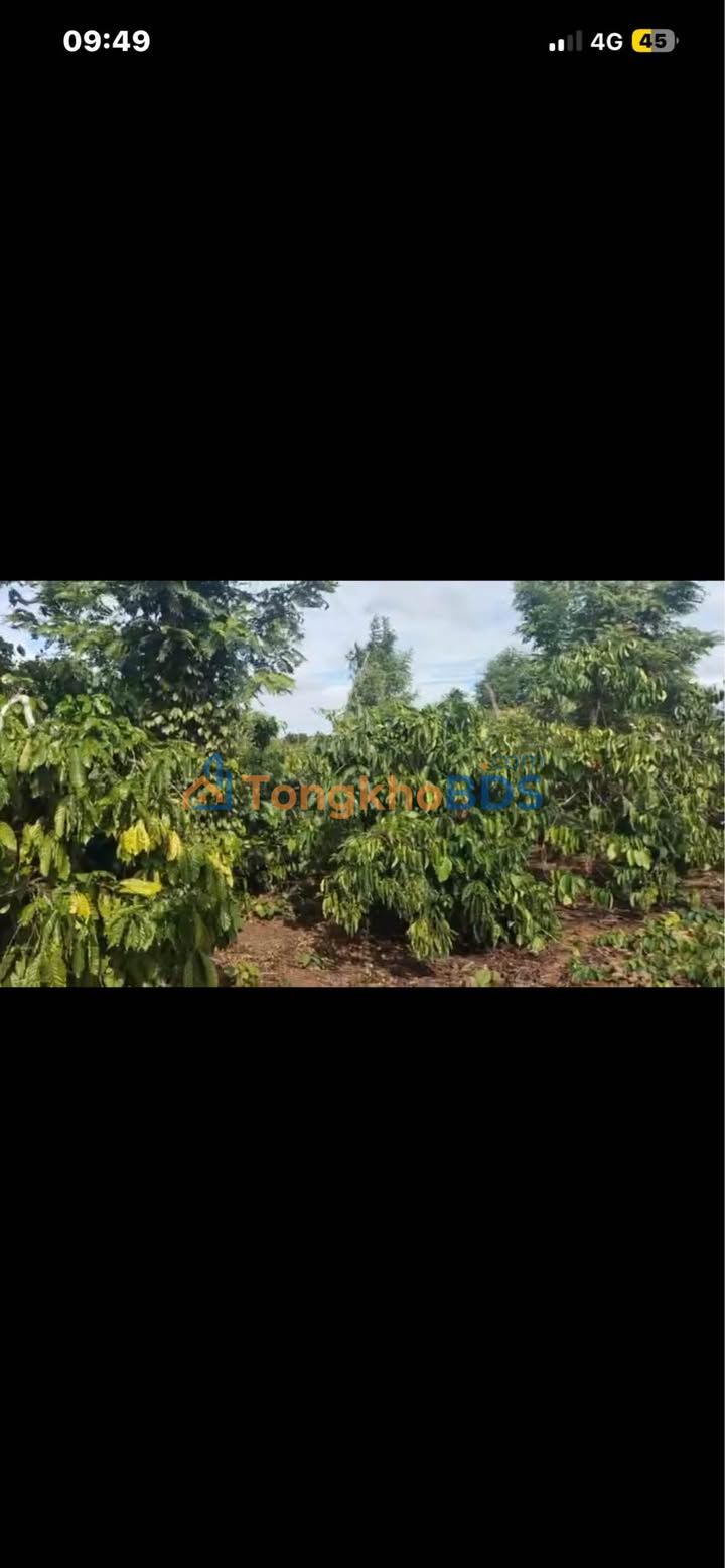 Bán Đất Huyện Krông Năng, Đắk Lắk - 700 Triệu, Sát Khu Dân Cư, Mặt Đường Đá Dăm 70m