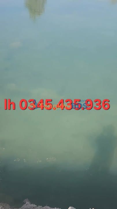 Đất nền Ia Lâu Gia Lai 3,7ha 650 triệu - Sổ đỏ chính chủ