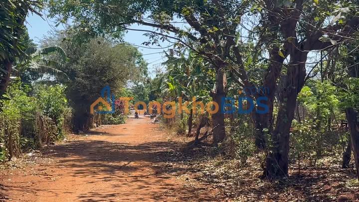 Đất nền Chư Pưh 70m² 650 triệu - Đường to ô tô