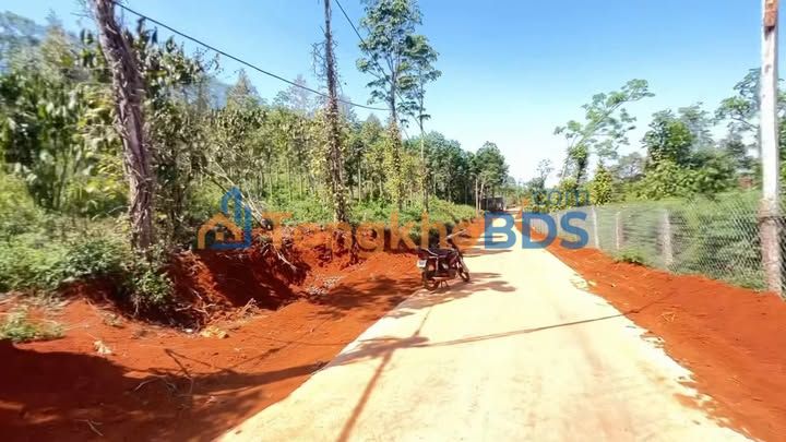 Đất Nền 1500m² Hướng Đông Nam, Giá 650 Triệu - Thôn 8, Lâm Đồng
