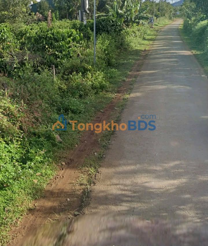 Đất Vườn Gia Lai 18000m² - Vị Trí Vàng, Kinh Doanh Sinh Lời 2 Tỷ