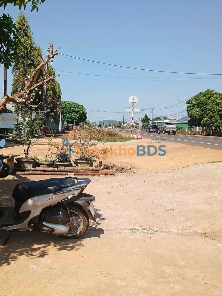 Bán Đất Nền 120m² Mặt Tiền QL19, Vân Canh, Bình Định - Giá 1.35 Tỷ