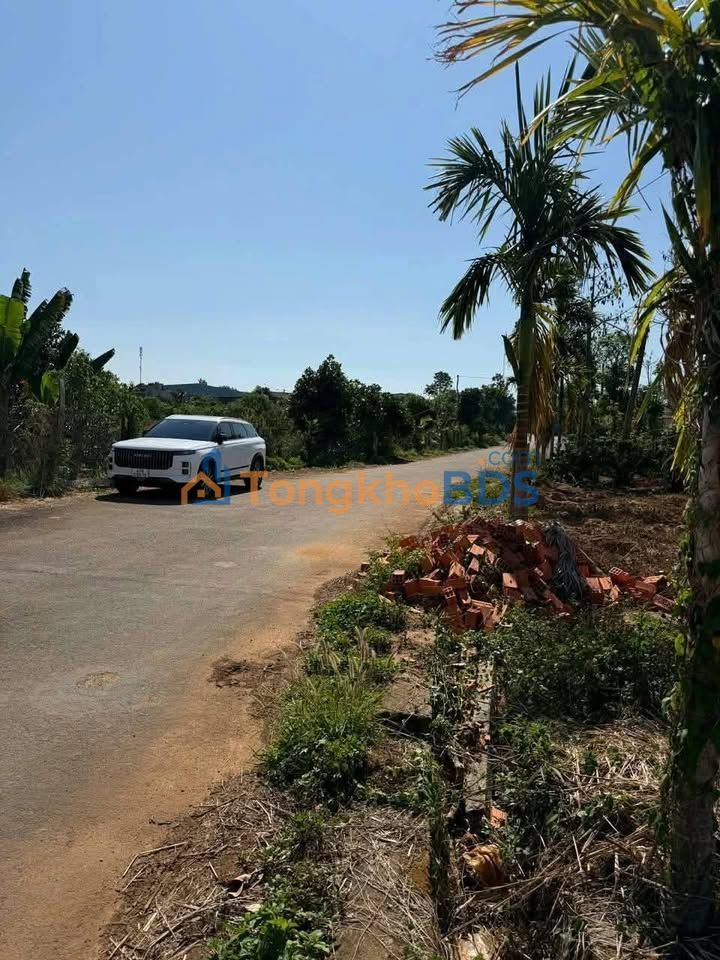 Đất Nền Eadrang, Đắk Lắk - Mặt Tiền 100m², Sổ Đỏ Sẵn Sàng, Giá 2.5 Tỷ