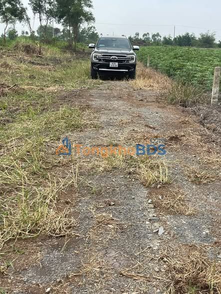 Đất Vườn Long An - 500m² Giá Đầu Tư 199 Triệu, Sổ Riêng