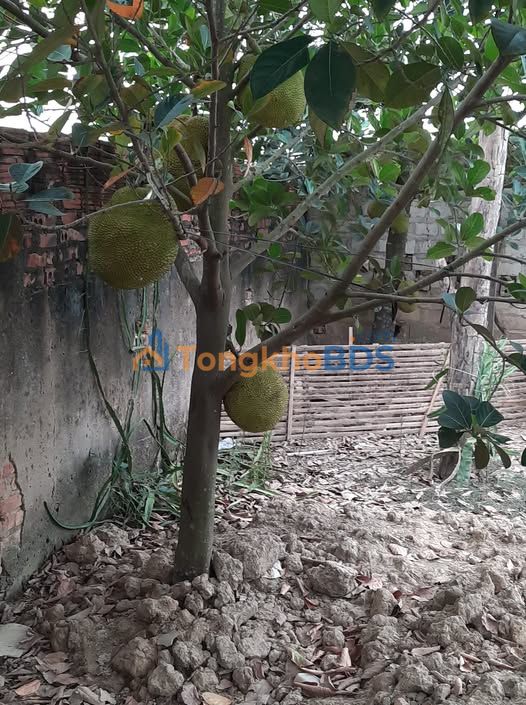 Bán đất Xuân Đỉnh 53m² - Ngõ rộng, ô tô vào nhà, 3.8 tỷ