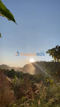 Farm 17.000m² view đồi núi, có nhà, ao, hồ lớn - Lạc Lâm, Đơn Dương giá 1.45 tỷ