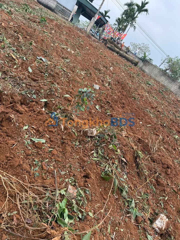 Đất Phục Linh Đại Từ 200m² thổ cư 130m² - Xây dựng tự do