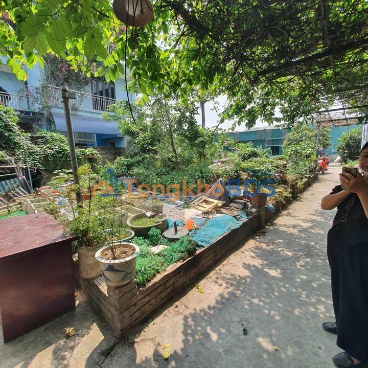 Đất Lô Góc 82m² Thôn Mỹ, Thanh Oai - Cơ Hội Đầu Tư Sinh Lời