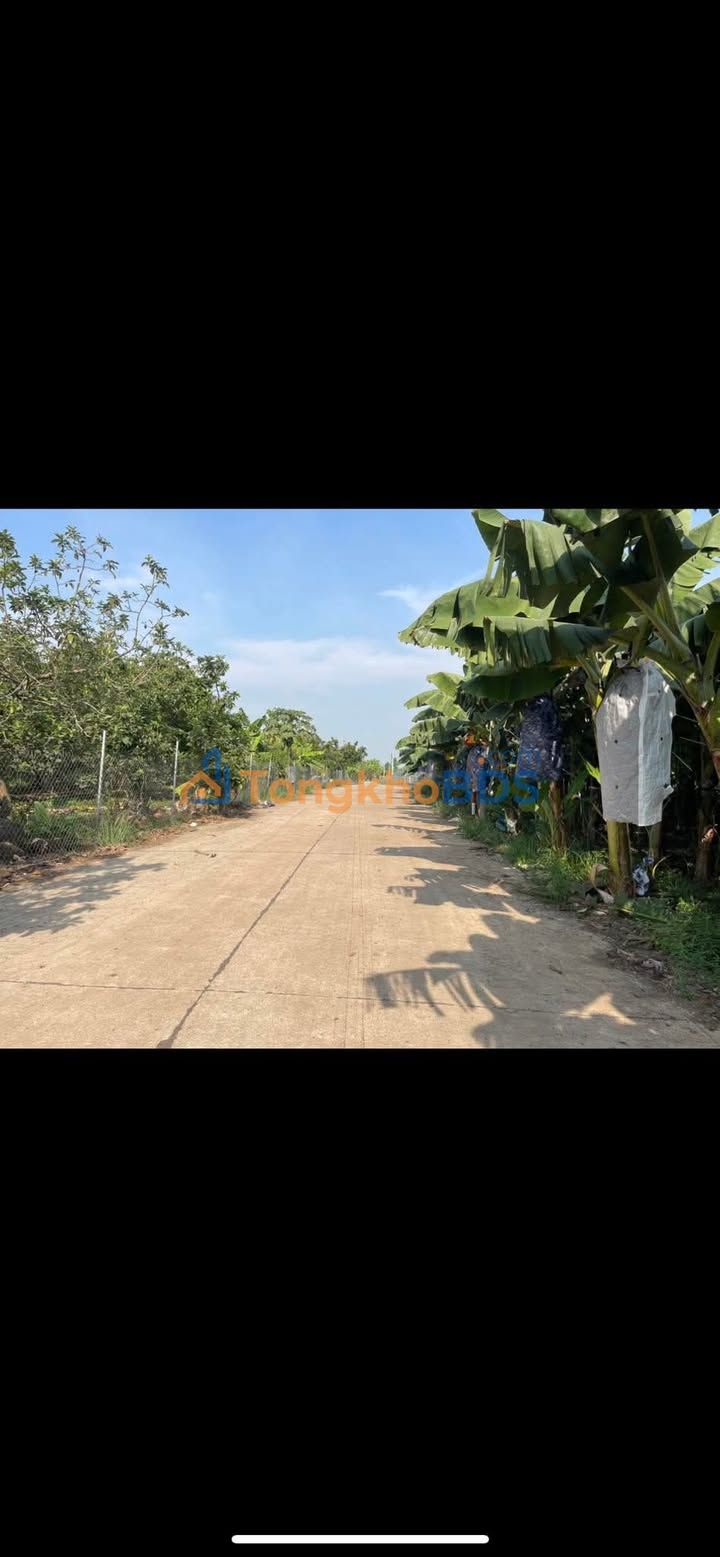 Đất nền Kim Thượng Gia Kiệm 4.488m² 1.99 tỷ - Đường ô tô