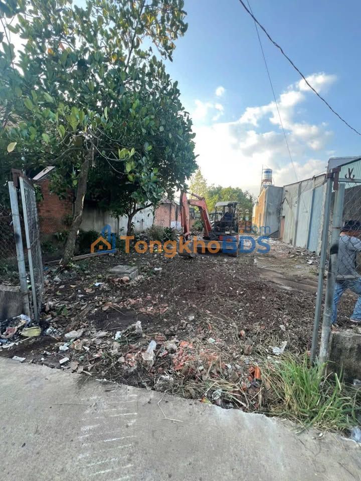 Đất nền 300m² Xã Gia Kiệm, Đồng Nai - Sổ riêng, chia 2 lô, giá 1.5 tỷ