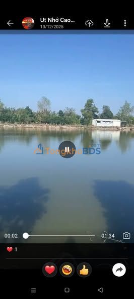 Bán gấp 36.000m² đất ao vuông vức, mặt tiền 100m tại Cao Lãnh, Đồng Tháp - Giá 2.97 tỷ