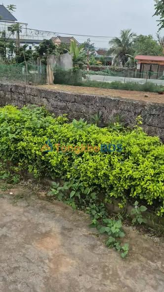 Đất Nền Nghi Lộc 240m² Mặt Tiền QL48E - Kinh Doanh Đa Ngành, Gần KCN