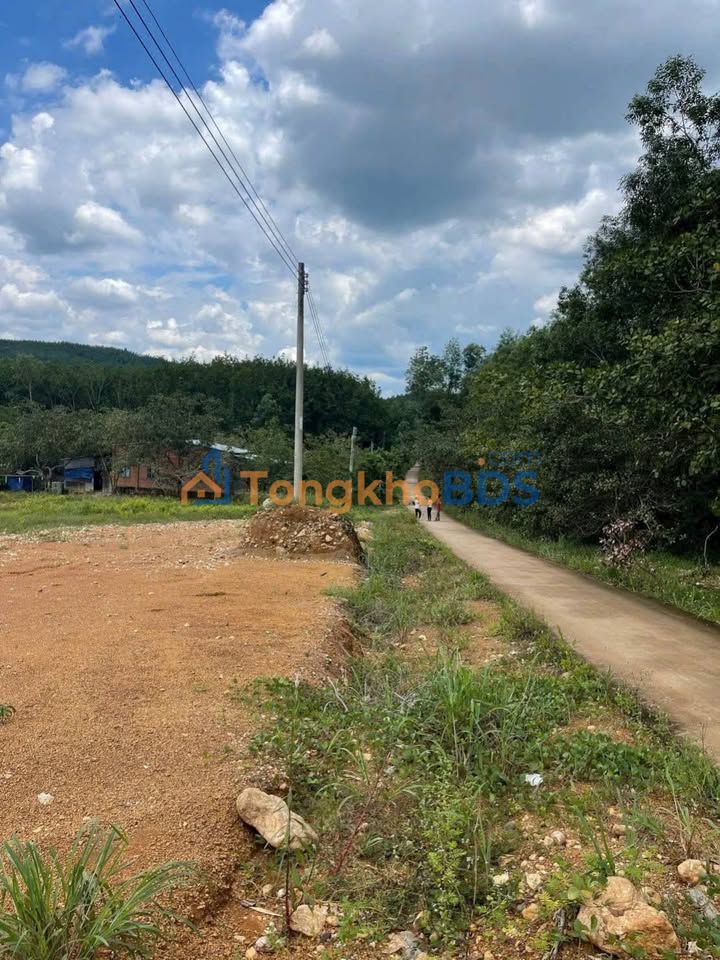 Bán Gấp Đất Nền Tân Lợi, Đồng Phú - 200m², Sổ Đỏ Vuông Vắn