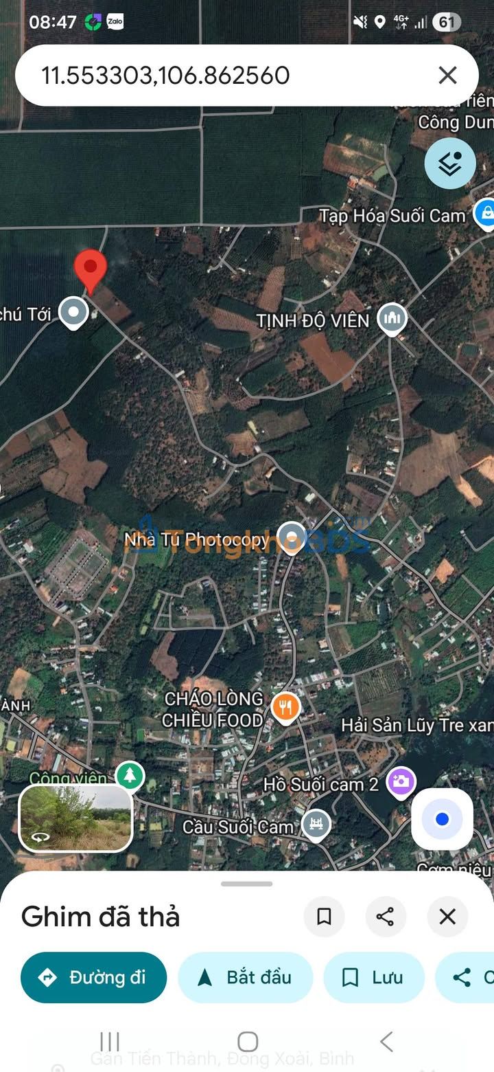 Bán Gấp Đất Vàng Phường Tiến Thành, Đồng Xoài - 300m² Mặt Tiền Nhựa