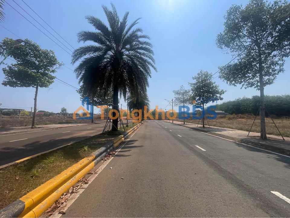 Đất Nền Cát Tường Phú Hưng - Mặt Tiền Đại Lộ Doanh Nhân 125m² - 1.15 Tỷ