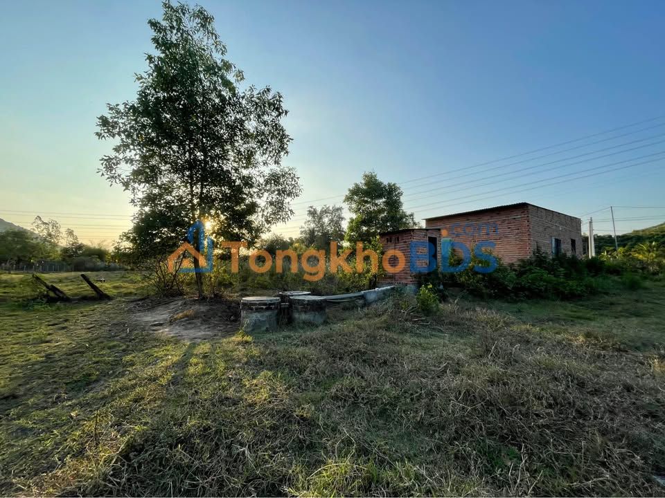 Bán Đất 1000m² Diên Thọ, Khánh Hoà - Sổ Đỏ Quy Hoạch Đất Ở