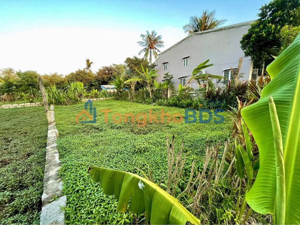 Đất Nền Phú Vinh Tây Nha Trang 99.8m² - Sổ Hồng Thổ Cư - Giá 1.29 Tỷ