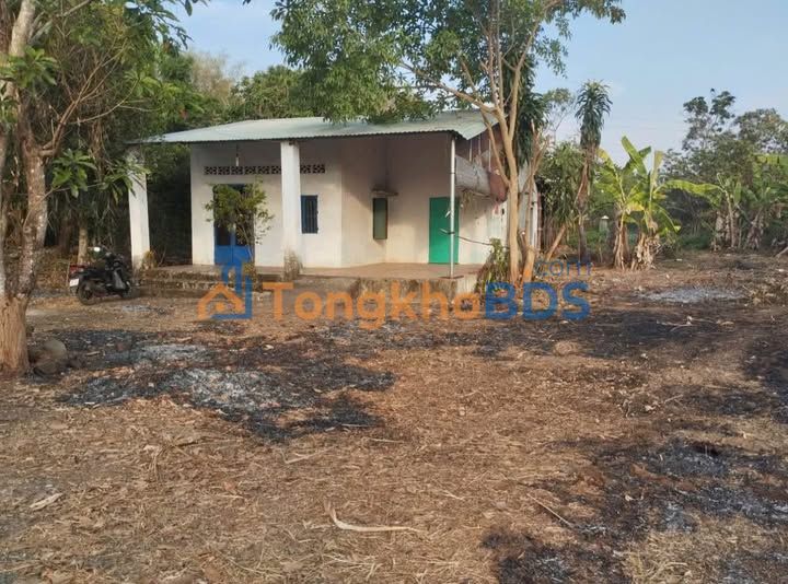 Bán Đất Vườn Bình Long 3500m² Mặt Tiền 30m - Giá 9 Tỷ