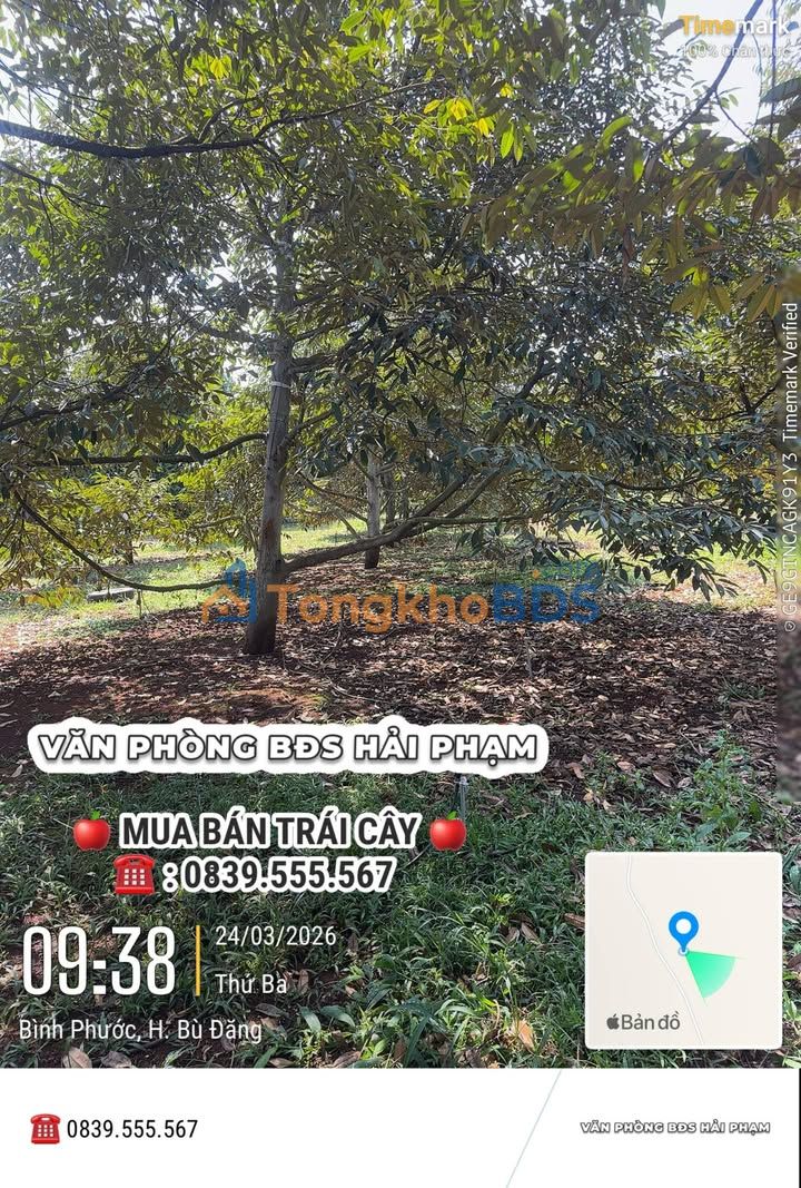 Đất vườn Phước Sơn 4,6ha thỏa thuận - Sinh thái xanh