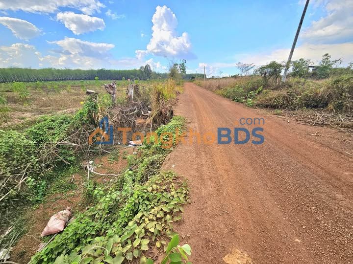 Đất Nền 800m² Sóc Ruộng, Hớn Quản - Mặt Tiền Đường Lớn 31m