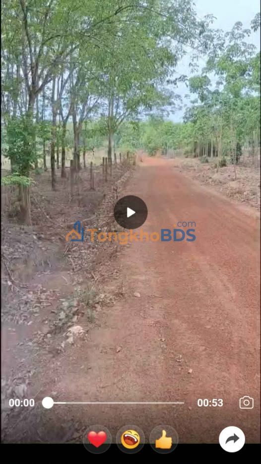 Đất Vườn 60.000m² Hớn Quản, Bình Phước - Giá 9.2 Tỷ, View Suối