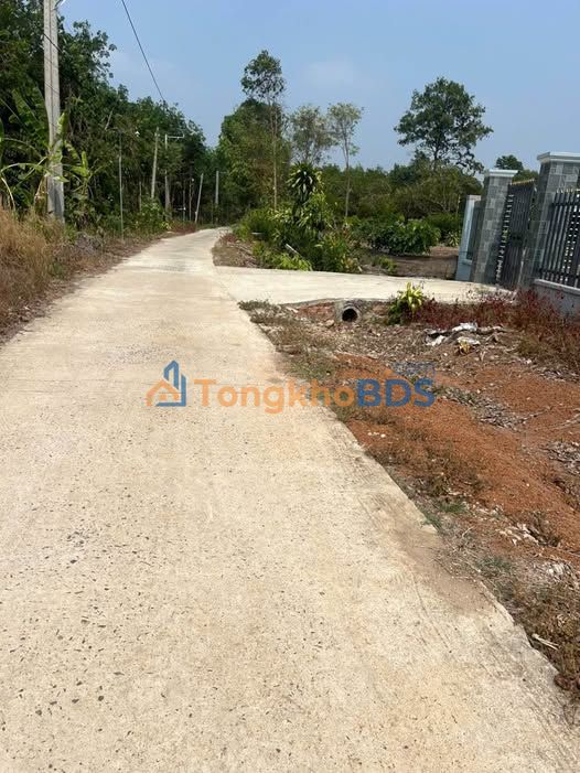 Đất Vàng Phường An Lộc - Bình Long 200m² Sổ Hồng Sẵn Sàng