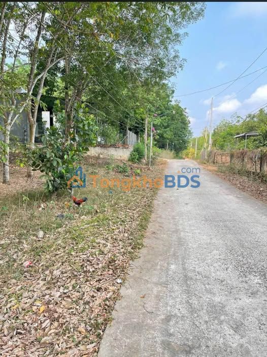 Bán Đất Vườn 11880m² Xã Minh Tâm, Hớn Quản - Sổ Hồng Sẵn Sàng