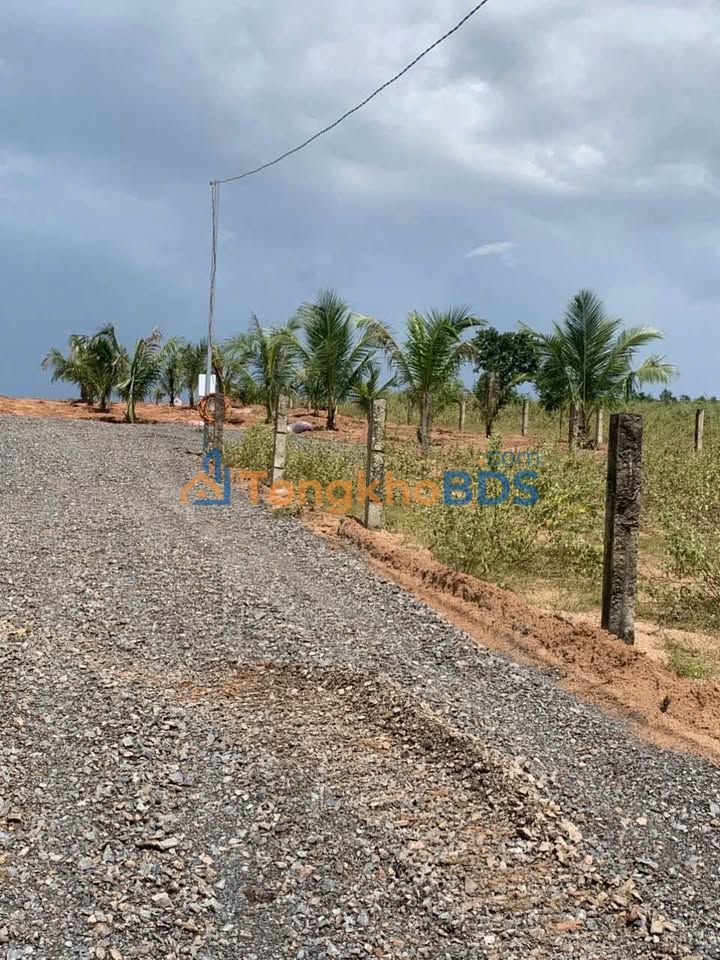 Đất Vườn Sân Bay Phan Thiết 2371m² - Giá 850 Triệu, Sẵn Sổ Đỏ