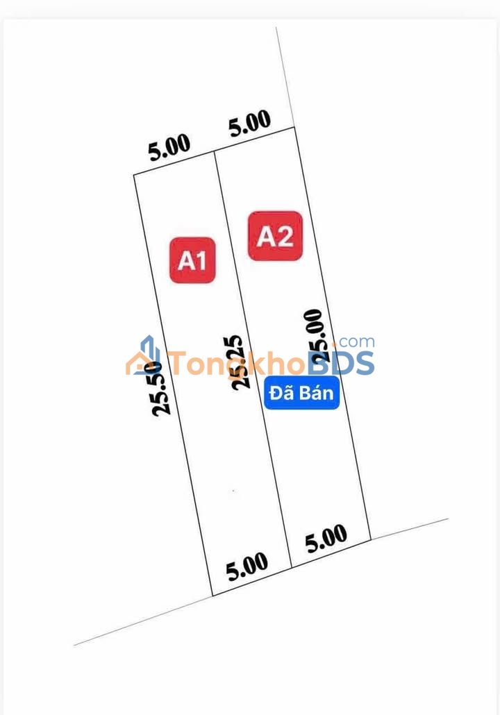 Đất nền Tam Quan Tam Đảo 100m² 700 triệu - Xây dựng tự do