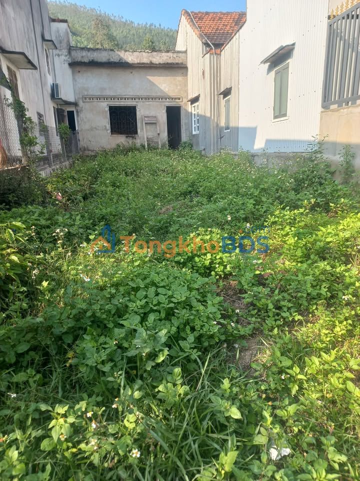 Đất Nền An Nhơn 165m² - Gần Ngã 6 Cầu Bà Gi, Giá 7xx Triệu