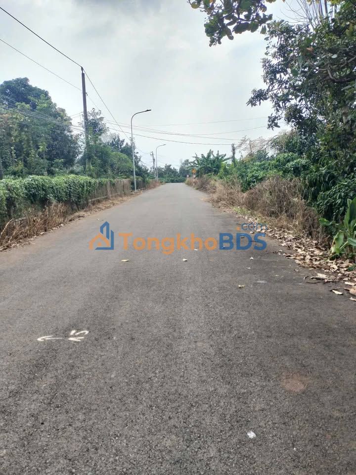 Đất nền Bàu Chinh Củ Chi 4500m² - Mặt tiền nhựa 59m, Giá 3.7 tỷ