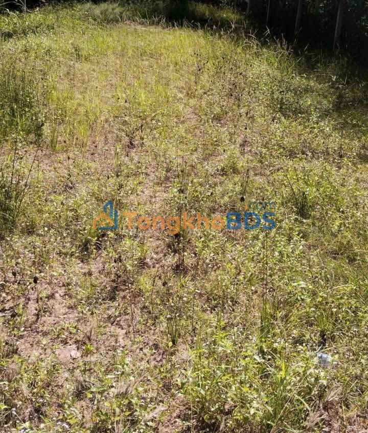 Đất Thành An Mỏ Cày Bắc 430m² giá 600 triệu - Sổ đỏ chính chủ