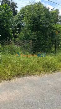 Đất thổ cư 760m² mặt tiền Phước Bửu, Bà Rịa - Vũng Tàu - Giá tốt